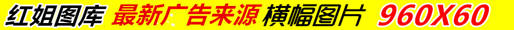 白猫图库